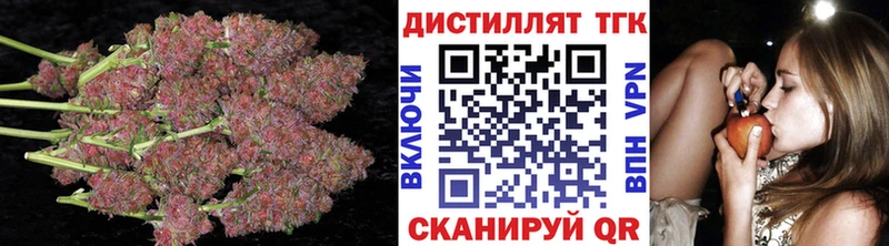 закладка  Ирбит  ТГК THC oil 