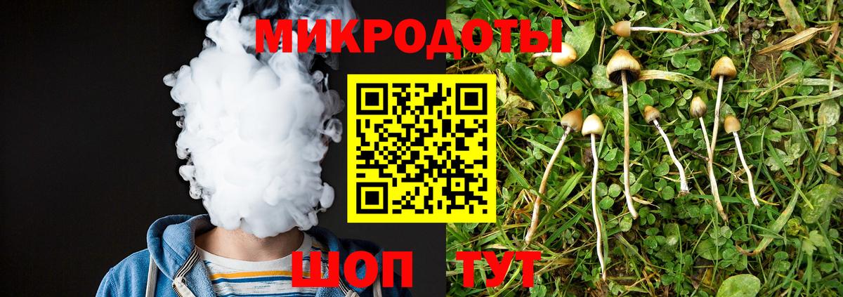 Галлюциногенные грибы Cubensis Ирбит