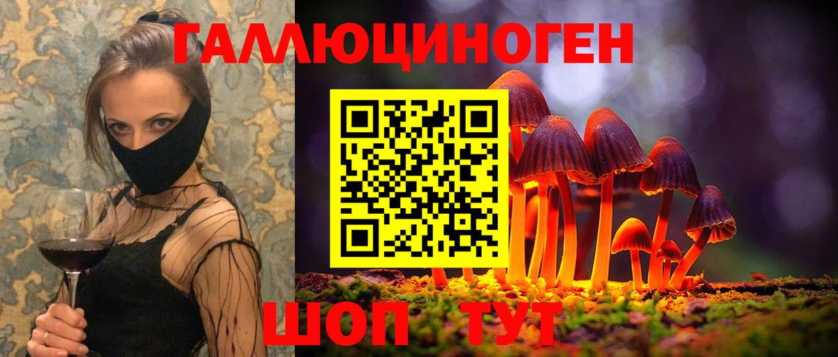 Псилоцибиновые грибы GOLDEN TEACHER  Псилоцибиновые грибы Psilocybe  Вход с VPN  Ирбит 